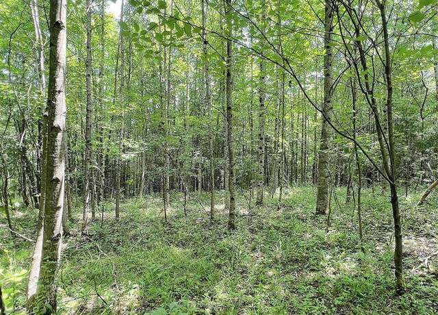 Property at Hwy 80 Pattie Ridge Rd, Russell Springs, KY 42642