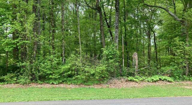 Photo of Lot Woodhaven Dr, Tompkinsville, KY 42167