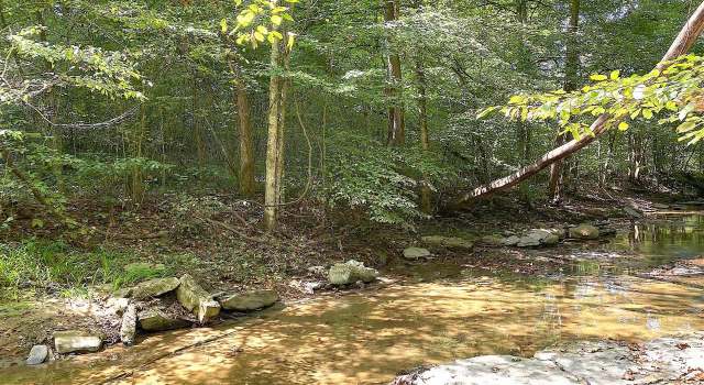 Photo of 4.18 AC Cape Rd, Jamestown, KY 42629