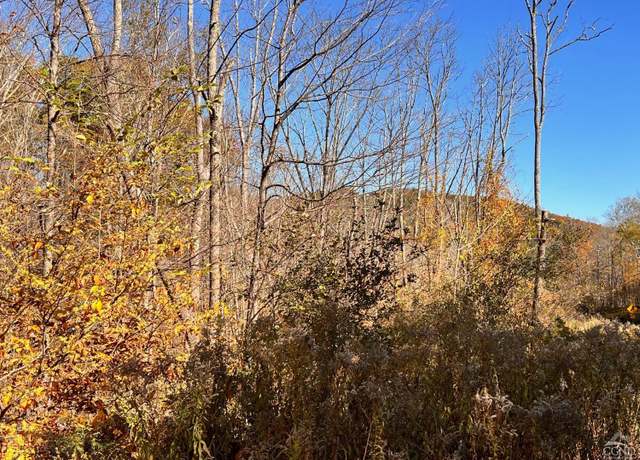 Property at 61 Dugway Rd, Hillsdale, NY 12529
