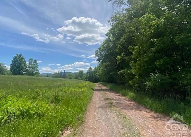 Property at 0 Hayden Rd, Windham, NY 12496