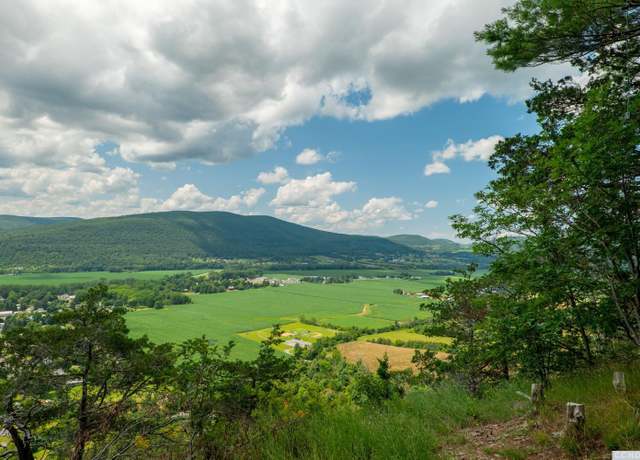 Property at 0 L16 MT Path, Middleburgh, NY 12122