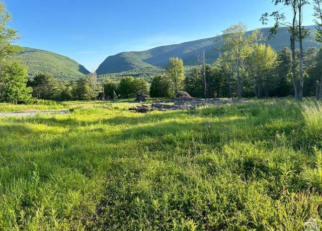Property at 0 Ruth Court #4, Hunter, NY 12442