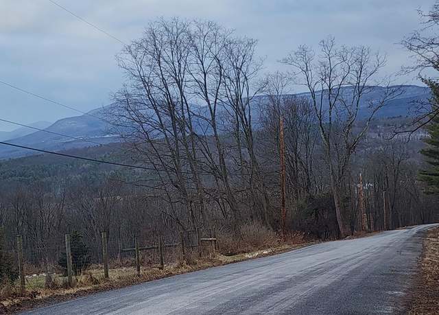 Property at 0 Route 20 & Prink Hl, Durham, NY 12423
