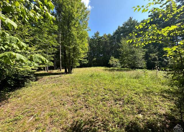 Property at 92 Old Stone Wall Rd, New Baltimore, NY 12124