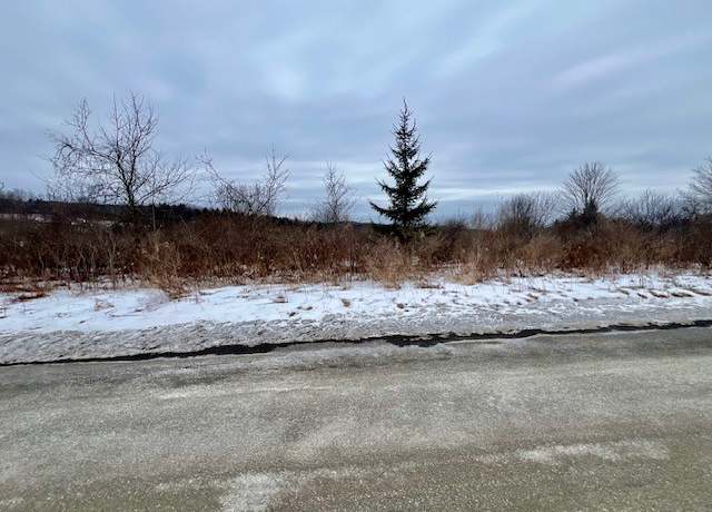 Property at 0 Frank Hyde Rd, Owego, NY 13827