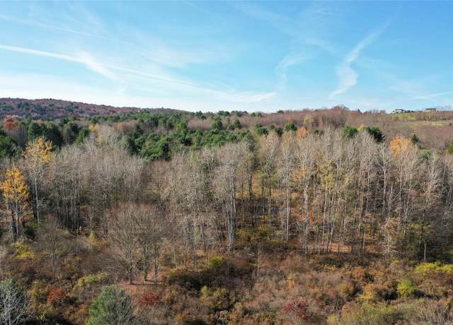 Property at 0 Caswell St, Afton, NY 13730