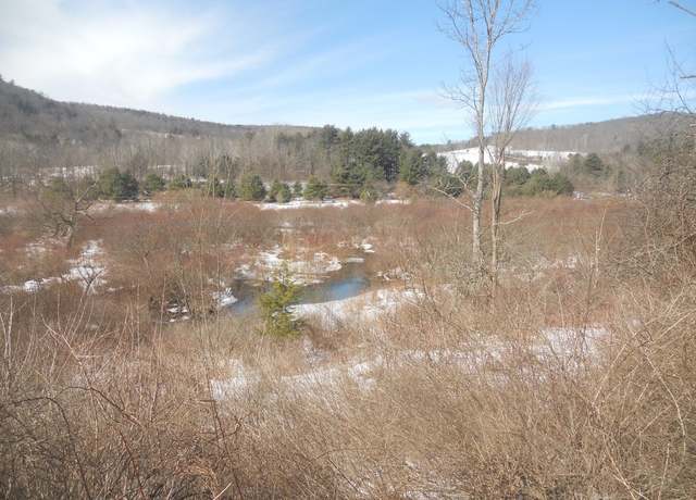 Property at 00 Prospect Rd, Candor, NY 13743