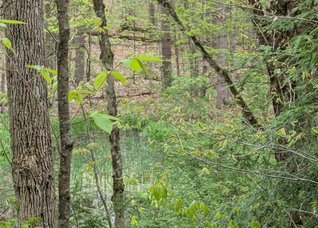 Property at 00 Union Rd, Candor, NY 13743