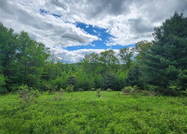 Property at 0 Race Rd, Greene, NY 13778