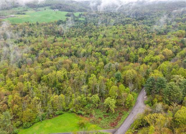 Property at 505 Phillips Rd, Windsor, NY 13865