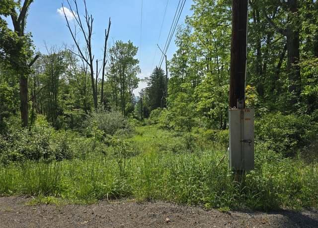 Property at 0 Campville & Cafferty, Owego, NY 13760