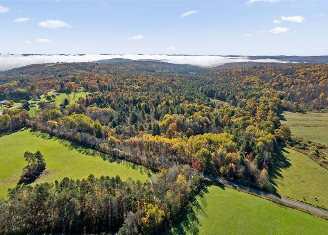 Property at 878 Cafferty Rd, Harpursville, NY 13787