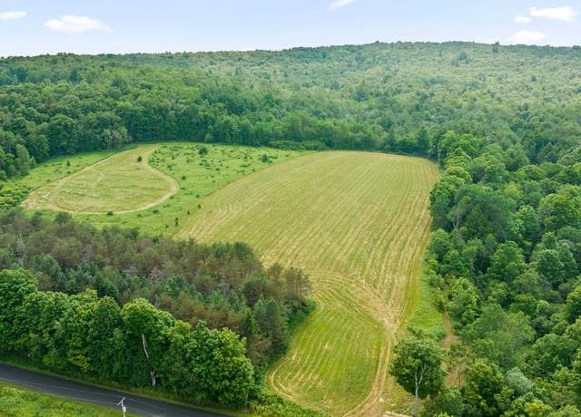 Property at 375 Ticknor Rd, Whitney Point, NY 13862