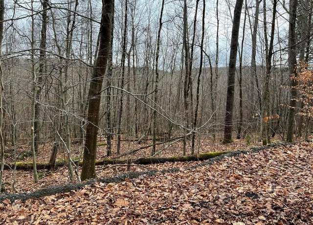 Property at 0 Bouchouxville, Hancock, NY 13783