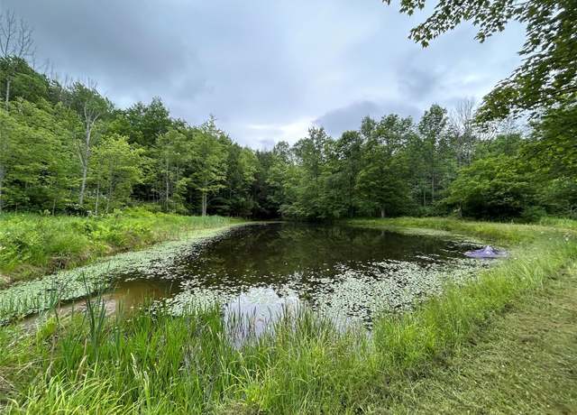 Property at 00 Gay Hl, Spencer, NY 14883