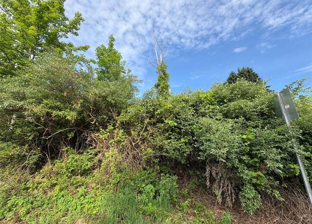 Property at 289 Lower Stella Ireland Rd, Binghamton, NY 13905