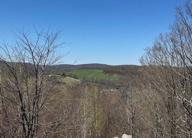 Property at 1229 & 1253 Trim St, Windsor, NY 13865