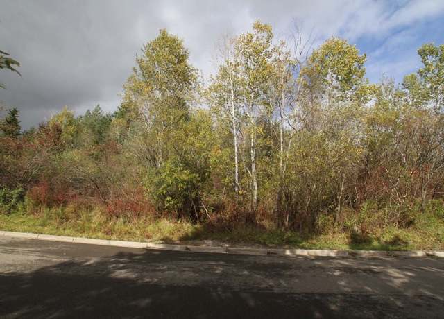 Property at 1266 lot 73 Domenica Dr, Endicott, NY 13760