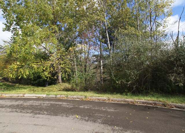 Property at 1201 Lot # 2 Domenica Dr, Endicott, NY 13760