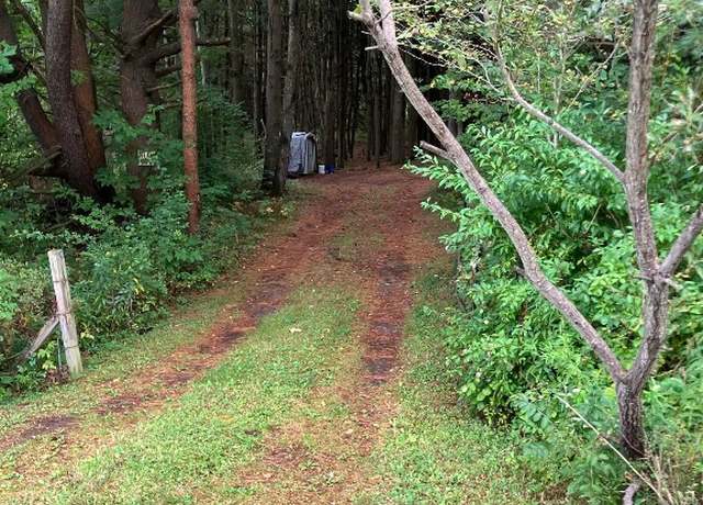 Property at 300 Beeman Hill Land, Greene, NY 13778