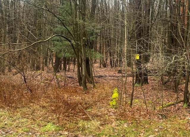 Property at 1992 Reservoir St, Binghamton, NY 13903