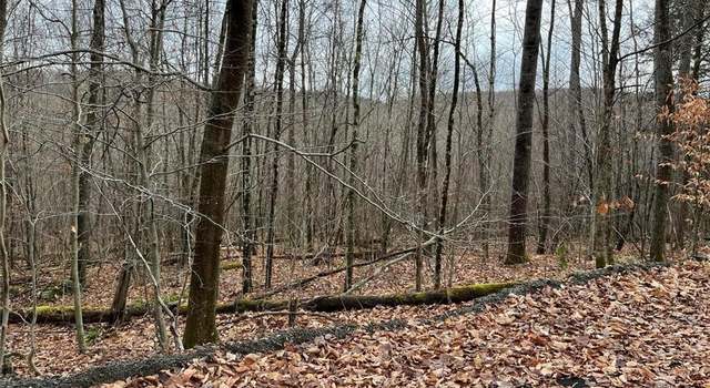 Photo of 0 Bouchouxville, Hancock, NY 13783