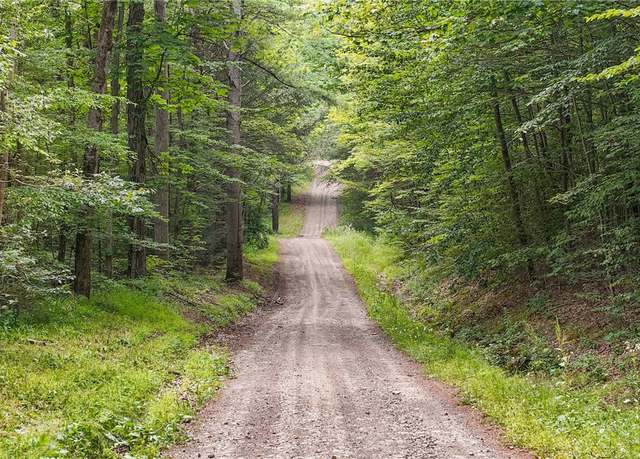 Property at Chaffee Creek Rd, Newfield, NY 14867