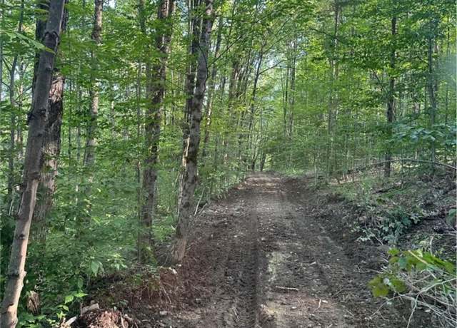Property at 230 Legge Hill Rd, Candor, NY 13743