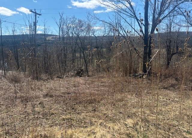 Property at 22 Cronk Rd, Candor, NY 13743