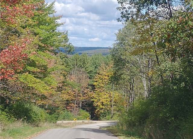 Property at 0 Dawson Hill Rd, Spencer, NY 14883