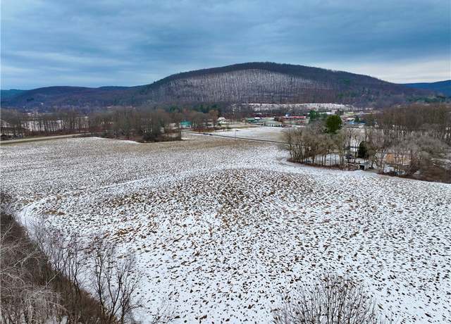 Property at 0 Conkrite Rd, Cayuta, NY 14824