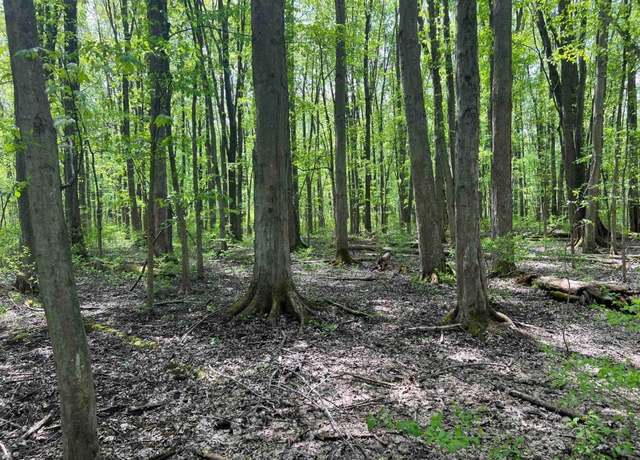 Property at 0 Pilgrimport Rd, Lyons, NY 14489
