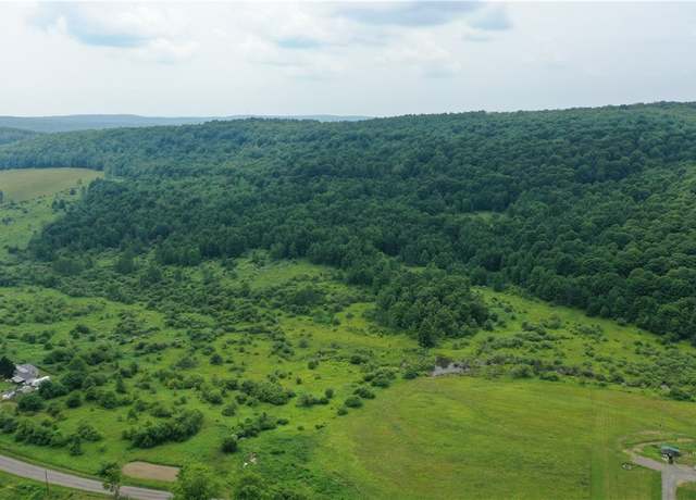 Property at Lot# 01 Pease Hill Rd, Cuyler, NY 13158