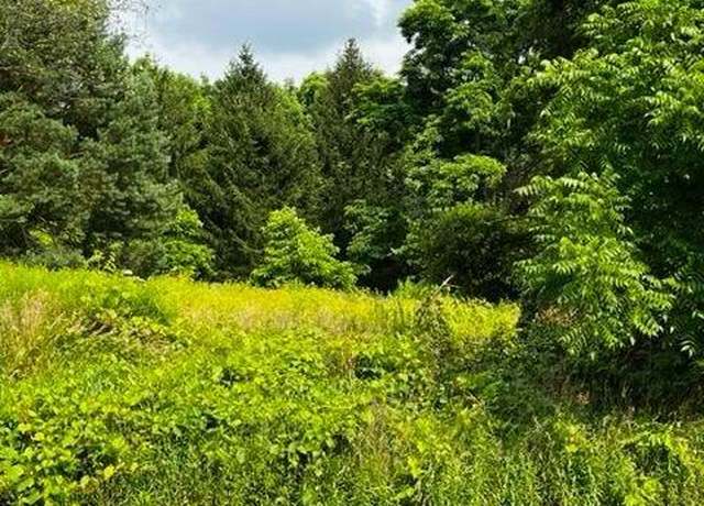 Property at 0 Pine Tree Rd, Ithaca, NY 14850