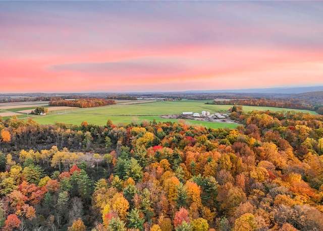 Property at 0 Salmon Creek Rd, Lansing, NY 14882