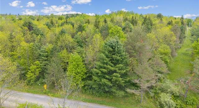 Photo of Lot 7B Blackman Hill Rd, Berkshire, NY 13736