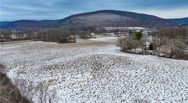 Photo of 0 Conkrite Rd, Cayuta, NY 14824