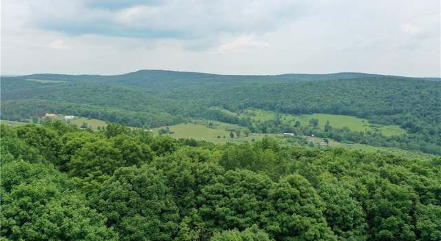 Photo of Lot# 01 Pease Hill Rd, Cuyler, NY 13158