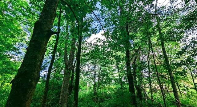 Photo of 137 Caroline Depot Rd, Caroline, NY 14817