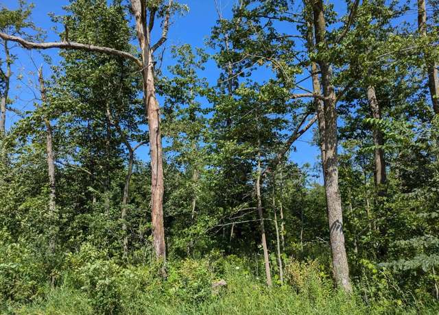 Property at Timber Rd, Calmar, IA 52132