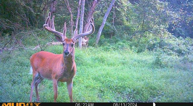 Photo of Fox Farm Rd, New Albin, IA 52160