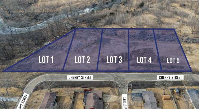Photo of Lot 3 Marian Lane 1st Addition, Hudson, IA 50643