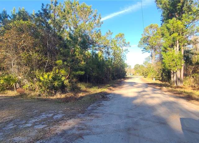 Property at 100 NE White Dr, Shellman Bluff, GA 31331