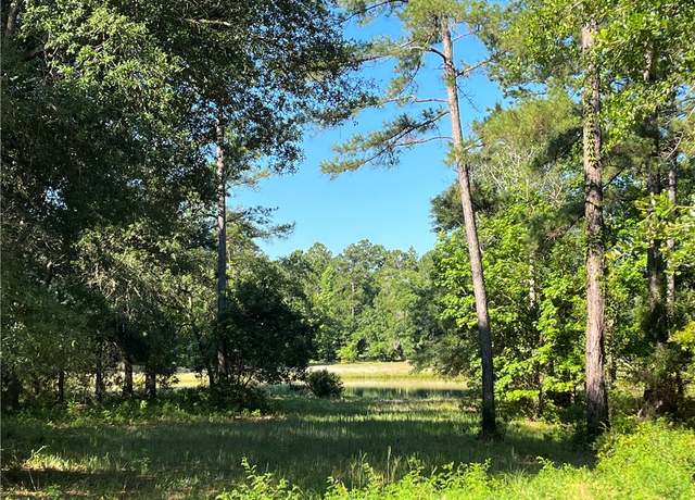 Property at Lot 599 Park View Cir NE, Townsend, GA 31331