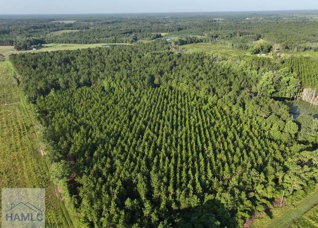 Property at 0 Oglethorpe Rd, Jesup, GA 31545