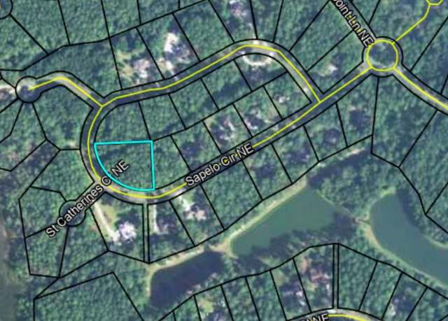 Property at 132 Sapelo Cir NE, Townsend, GA 31331