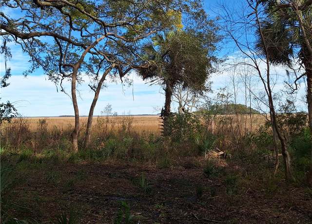 Property at 13021 Ga. Hwy 99 Hwy, Darien, GA 31305