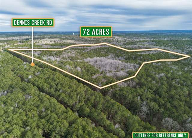 Property at 0 Dennis Creek Rd, GA 00000
