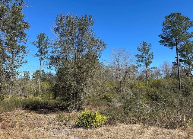 Property at Tract C Lot 59 Bartram Loop, Waynesville, GA 31566